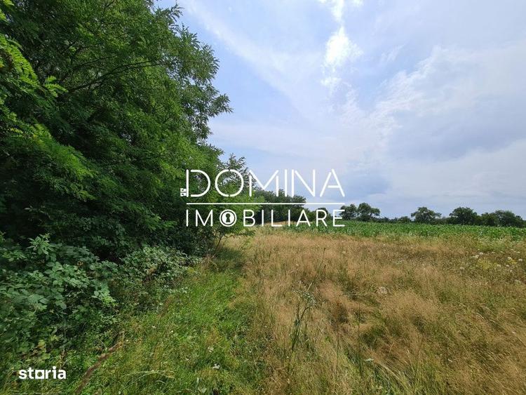 Vanzare teren *17,8 ha - front stradal 40 m.l.* - Comuna Runcu - 2