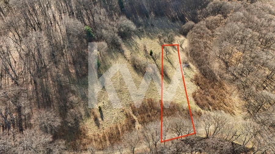 Cel mai mic pret din zona! Teren intravilan in zona Belvedere - 4