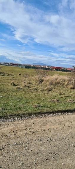 Teren 400 mp Sanpetru Intravilan - 2