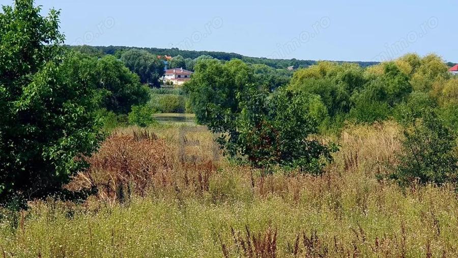 Teren 6.600mp cu deschidere la lac - zona centrala Corbeanca - 2