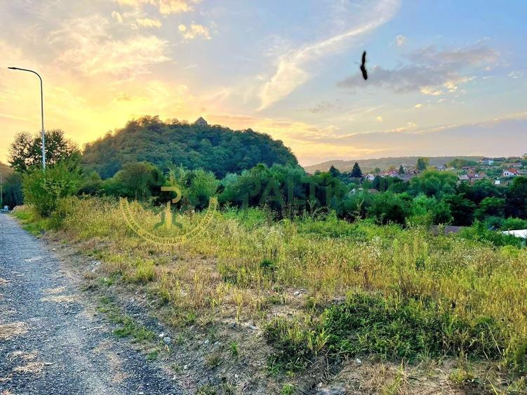 Teren de vânzare Cisnădioara – 2 parcele a câte 1.250 mp, utilități pe teren - 1