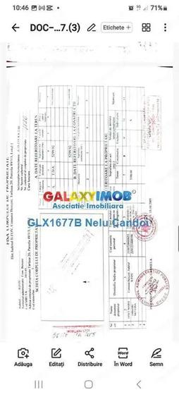 VANZARE TEREN INTRAVILAN 10000 MP COMUNA BERCENI - 9