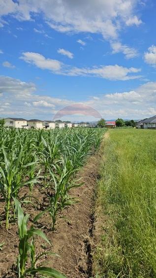 Casa / Vila, teren 1700mp,  in Lisaura-Ipotesti, Suceava - 37
