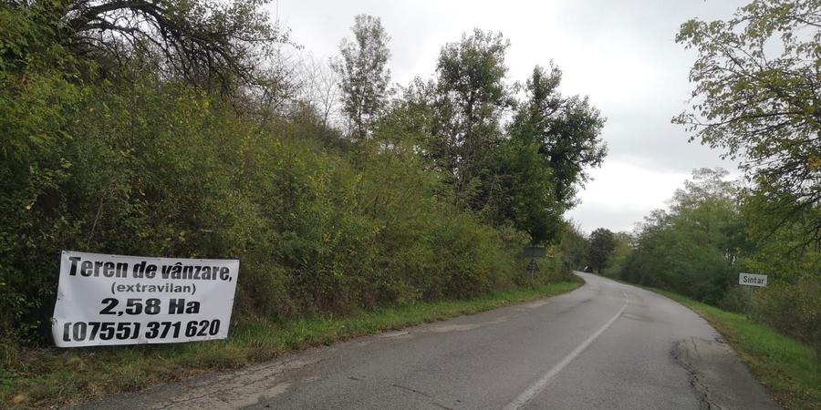 De vanzare teren in comuna Bogda judetul Timis !!! - 1