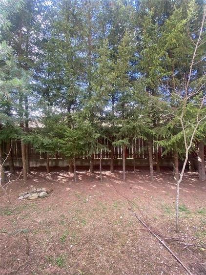 VILA  10 camere P + 1 si TEREN in ZONA HALOS - LOCUINTA BUSSINES IN MANASTIREA C - 9