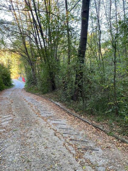 Teren de vanzare Nistoresti-Breaza 1081mp - 3