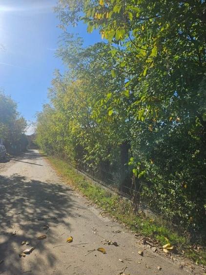 Teren intravilan Ploiesti Bucov - 9