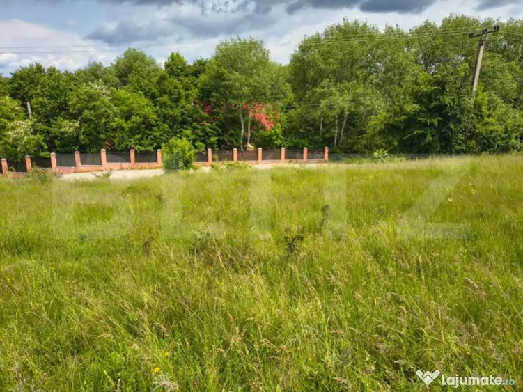 TEREN ideal CASA VACANTA,CASA LOCUIT ,ZONA SUBCARPATICA Vale - 5
