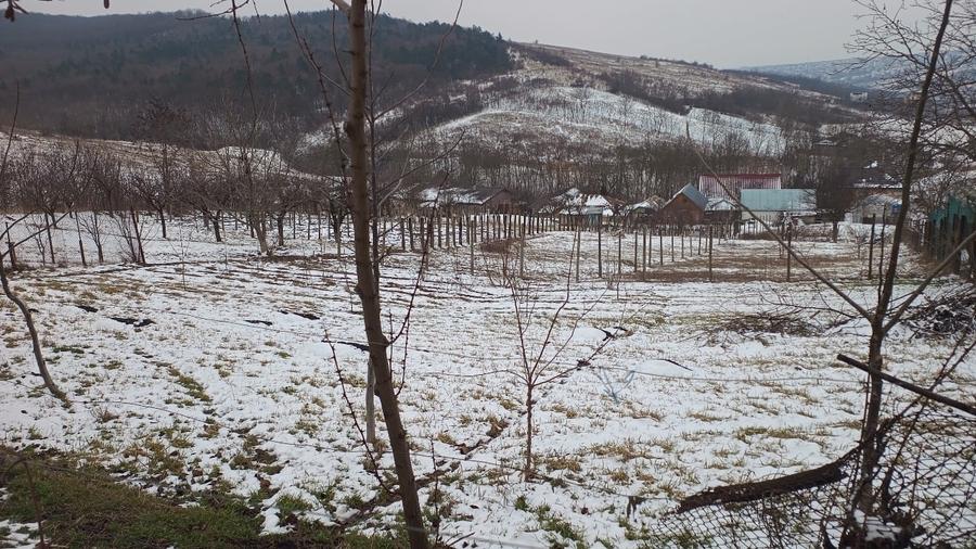 Teren 704 mp Breazu – asfalt + utilități – priveliște spre pădure – ideal casă - 5