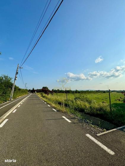 Oferta! Teren Intravilan Seini 5250MP - 2