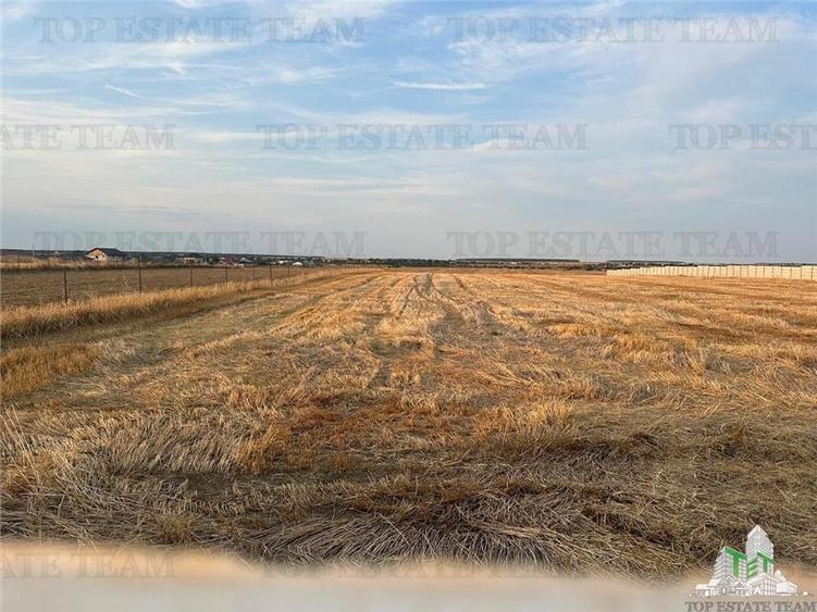 TEREN 2500MP BALACEANCA - 2