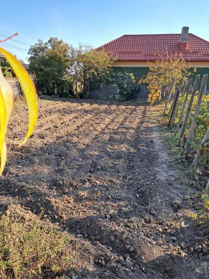 Vand casa de caramida 3 camere+sala+beci 1238mp teren, Segarcea, Dolj - 3