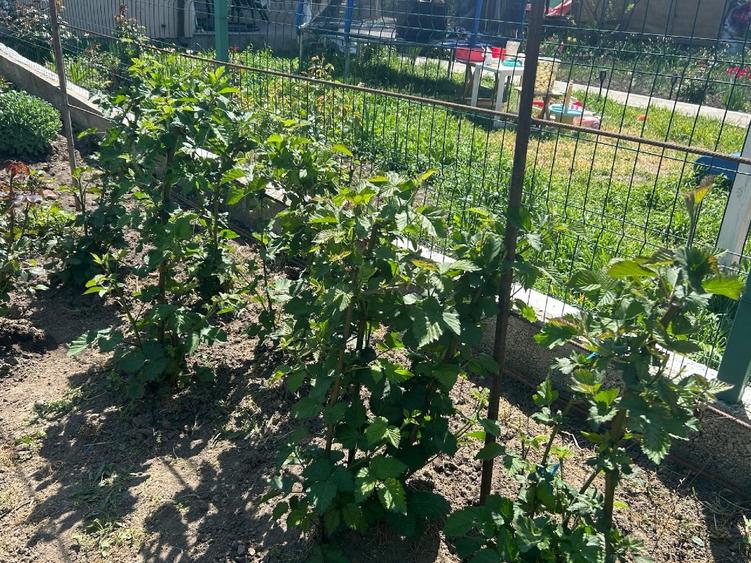 Casa pe structura metalica - 5