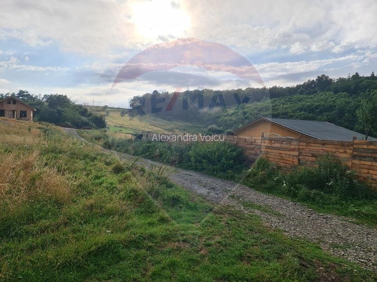 Teren Construcții intravilan de 530 mp, în Cristian Teren Construcții intravilan de 530 mp, în Cristian