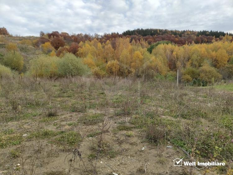 Teren intravilan cu autorizatie de construire – Salicea - 1