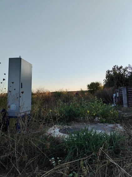 Ciolpani, spre Izvorani - COR, vanzare teren 5000mp. - 9