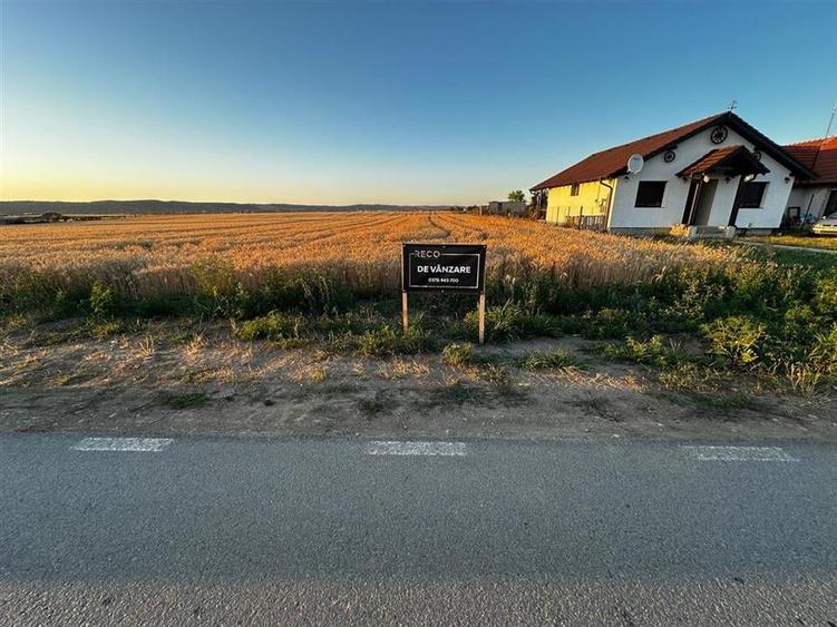 RECO Teren intravilan in Cheriu 2.303 mp - 7