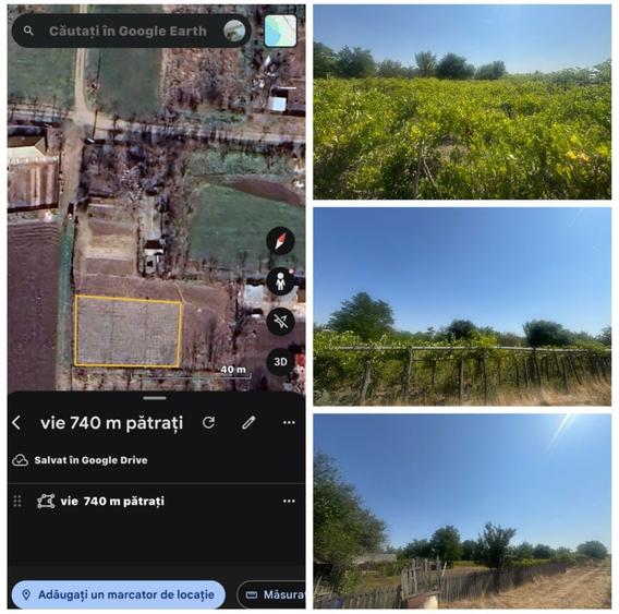 Casa in sat Floroaica 2800 m +teren arabil intravilan 2 096 m - 8