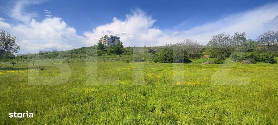 Teren Panoramic 15.500 mp Investitie sau Dezvoltare, Zona Aleea Ma - 17