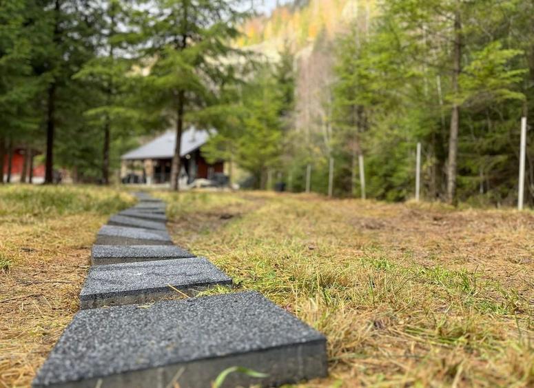 Casă individuală cu 3 camere cu Teren 1500 Mp în Valea Drăganului