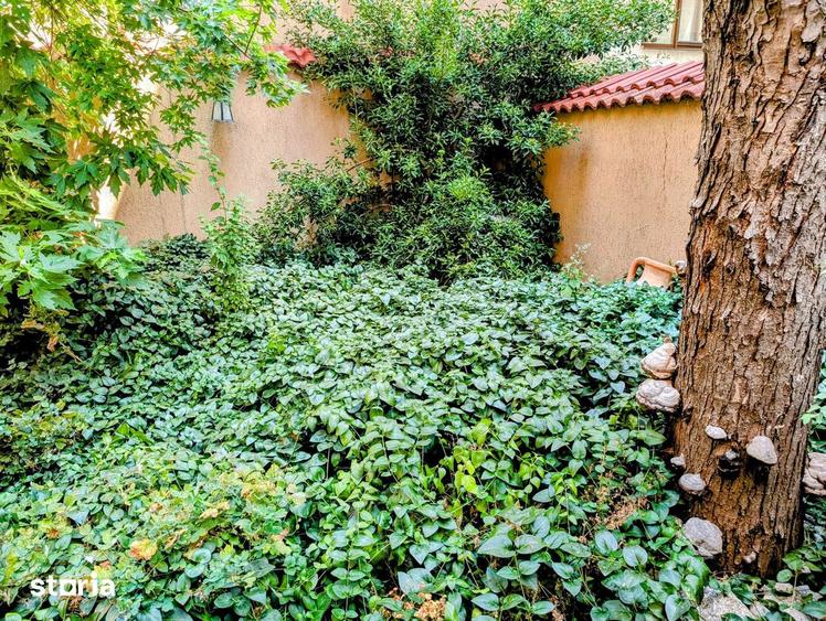 Apartament cu 3 camere decomandat în Dămăroaia
