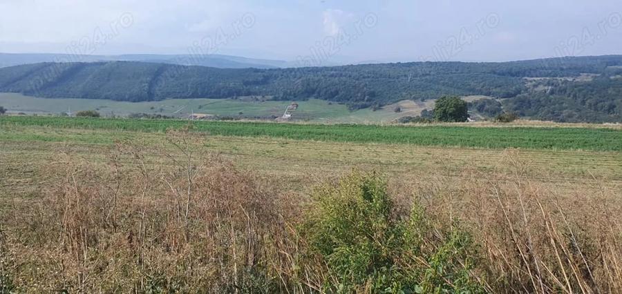 Teren de 2350 mp, în Popești