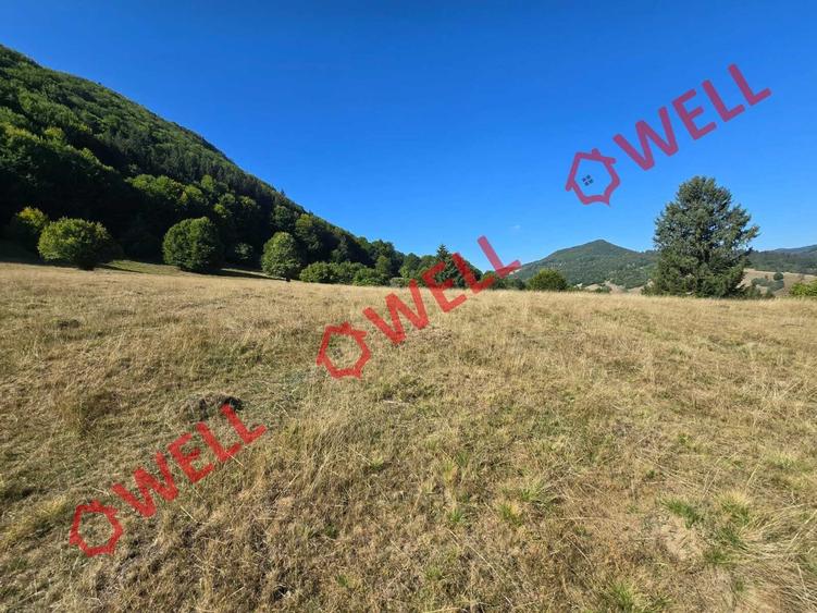 Teren extravilan de 7766 mp, în Dălghiu