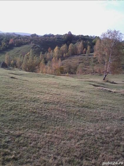 Teren de 21400 mp, în Central