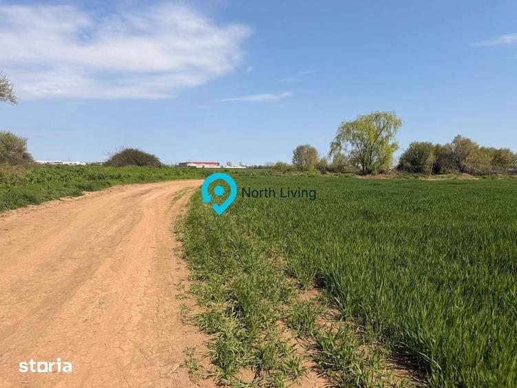 Teren 10.000 mp | Certificat de Urbanism | Ideal Ansamblu Reziden?ial - 1