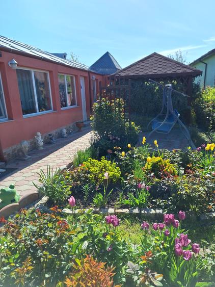 Casa in Smardan cu centrala termica si  utilitati la pret de apartament - 5