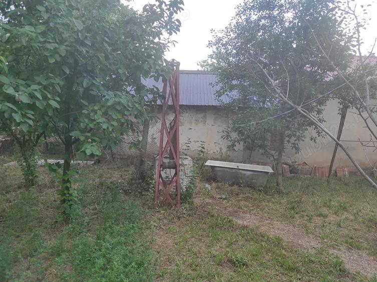 Vanzare casa - Licuriciu Calinesti Teleorman - teren 800mp - 5