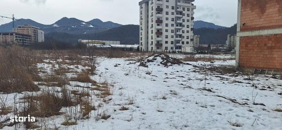 Teren Constructii 500 mp Noua - 4