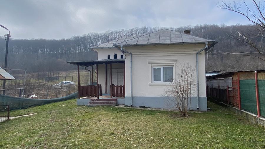 Casa + teren intravilan S= 3200 mp, Dobrogostea, Argeș - idealimob.ro - 2
