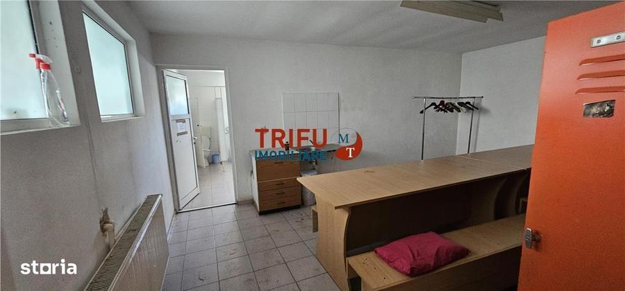 Hala industriala de inchiriat in Sebe? depozitare sau produc?ie - 3