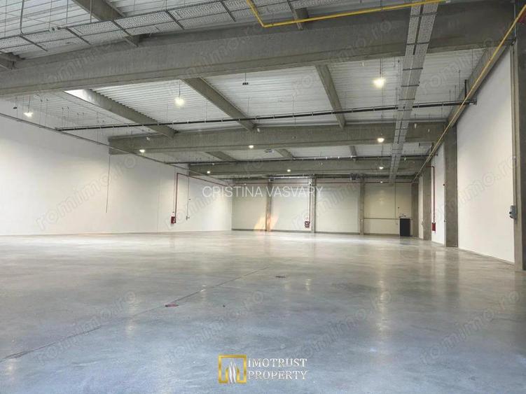 Hala Industriala Moderna de Inchiriat TRC Park Arad