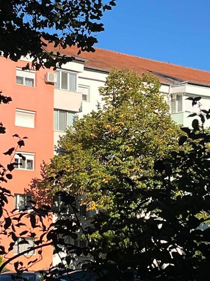 Apartament 3 camere, tip PB, 78 MP, Etaj 1 , Ioșia, Oradea. - 14