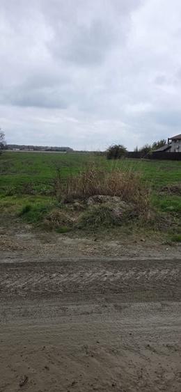 1 DECEMBRIE - TEREN 2500 MP - 3