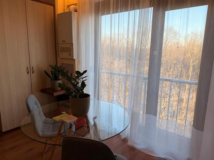 Garsoniera cu Vedere la Pădure | Iancu Nicolae | Complex cu piscină - 1