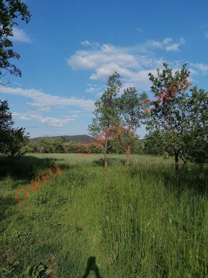 De vânzare teren intravilan în Estelnic! - 6