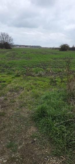 1 DECEMBRIE - TEREN 2500 MP - 1