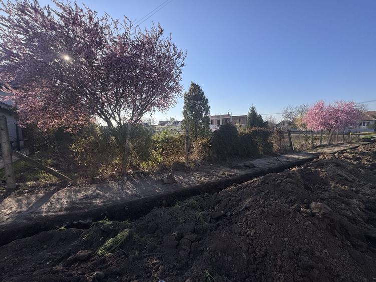 Teren Intravilan Becicherecu Mic 750mp,F.S 19ml,Utilitati,Asfalt - 1