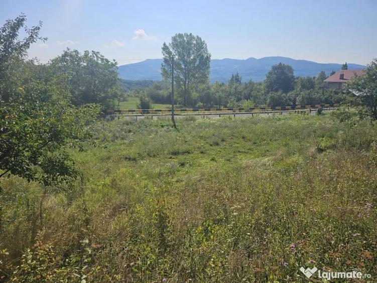 Loturi de vanzare! - 2