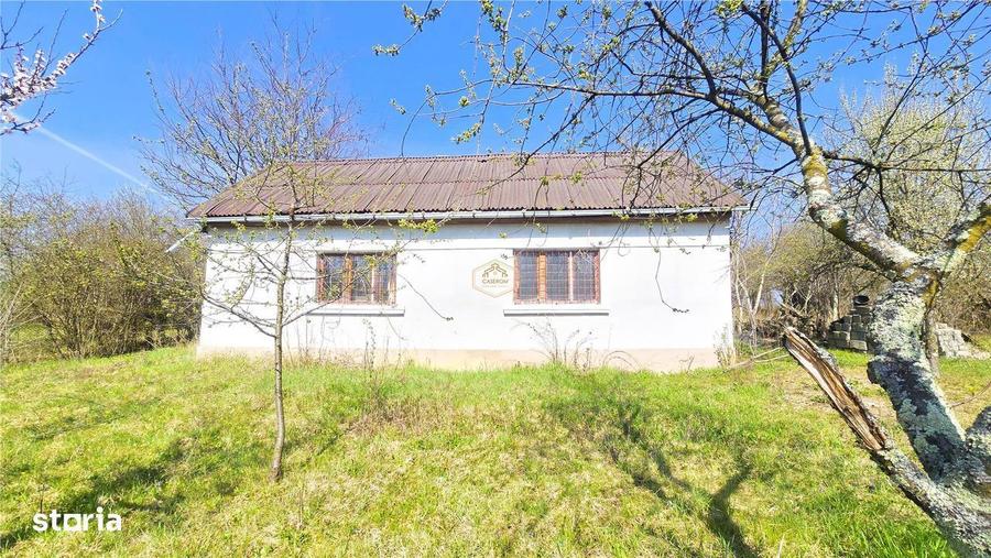 Casa cu 2 camere si livada | Teren 4.395 mp cu alee printre 70 de pomi - 6