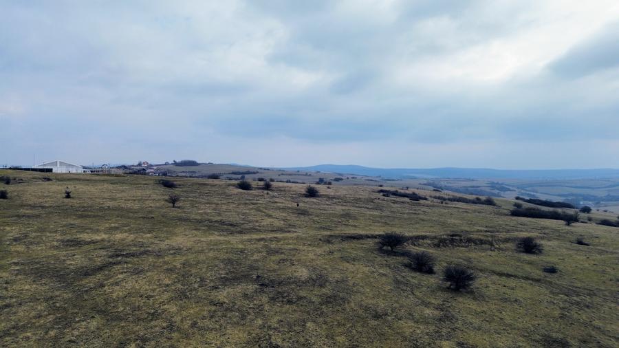 Teren agricol extravilan de vânzare – 67.500 mp – Dealul Daii, Sibiu - 5