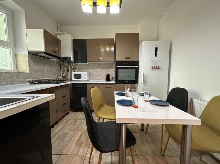 Casa cu etaj in zona Parcului Circului complet mobilata curte amenajata zona Tei - 14