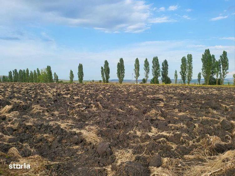 Vand teren hale inTureni langa nod drum expres pentru autostrada A3 - 1