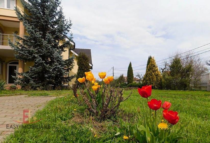 Casa 6 camere, 3 garaje, 5 bai, 2 bucatarii, Sangeorgiu De Mures - 10