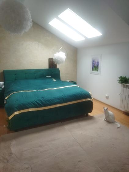 Vila Bucium cod 156392 - 3