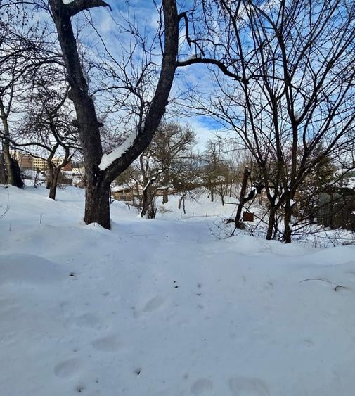 Casa rustica accesibila-Sacele, Bulevardul George Moroianu - 6