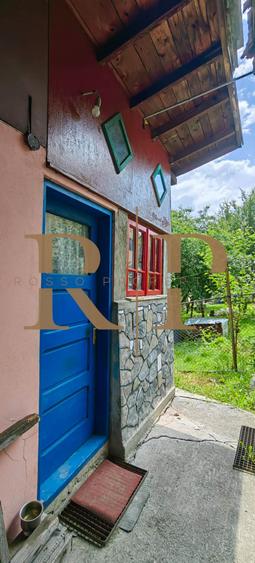 Teren 532 MP si Anexe de Vanzare * Poiana Campina* - 1